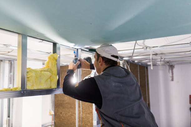 Best Insulation Maintenance and Repair in Elgin, OK